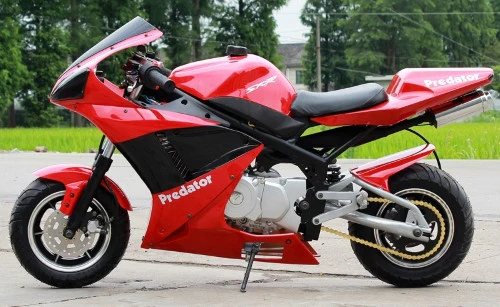110cc Venom x7 Super Pocket Bike - Predator - Image 10