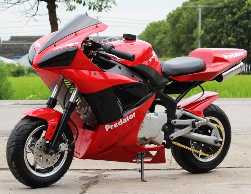 110cc Venom x7 Super Pocket Bike - Predator - Image 9