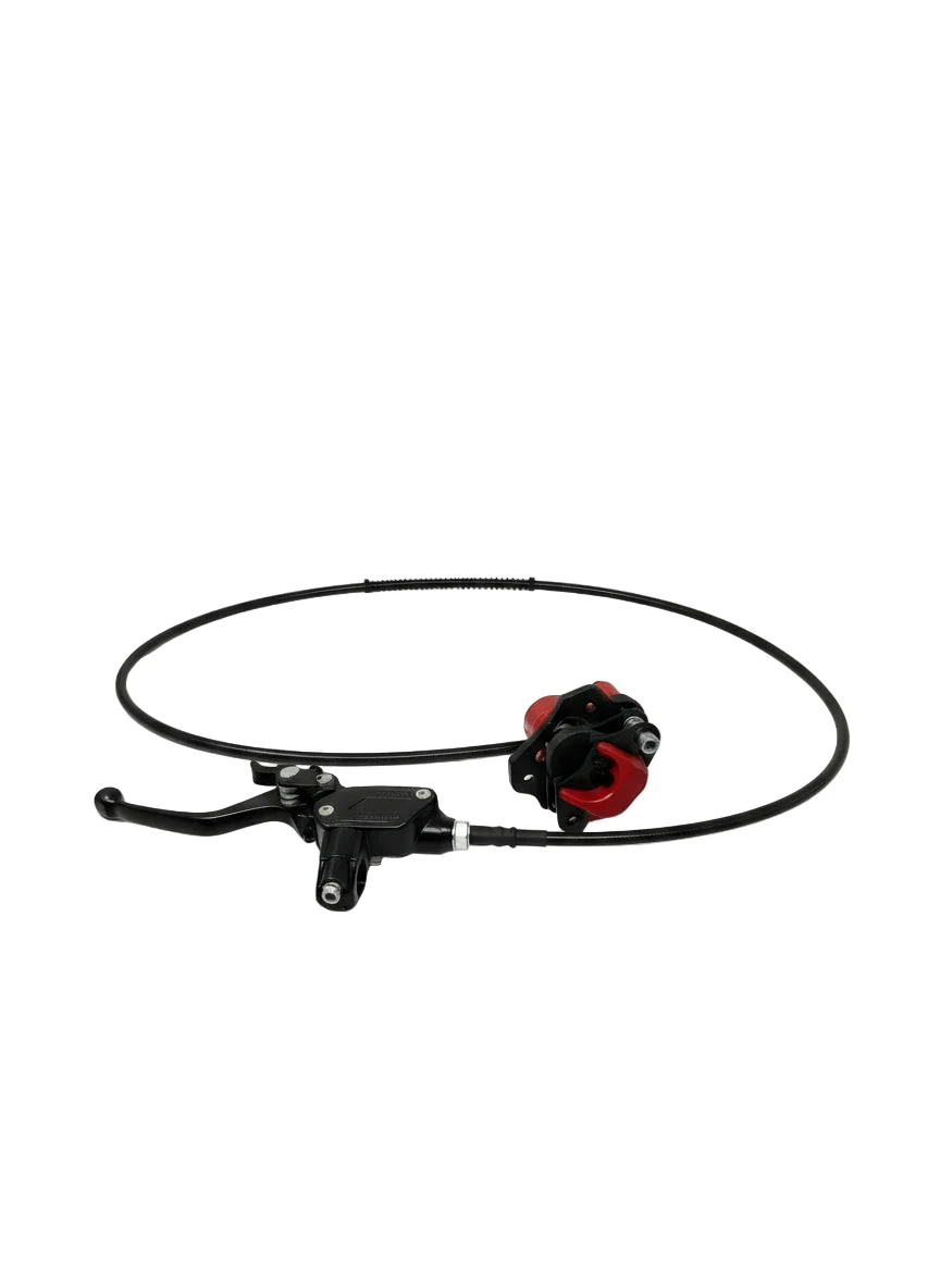 1500w E-Grizzly 48V ATV | Rear Brake Assembly (12501B-070311A)