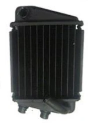 Lifan KPM200 Motorcycle | Radiator (KPMF17-09)