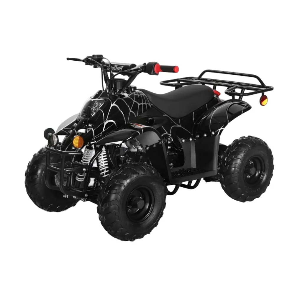 Rex 110cc ATV | 4-Stroke Automatic Transmission - Image 14
