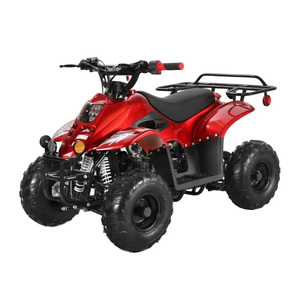 Rex 110cc ATV | 4-Stroke Automatic Transmission - Image 16