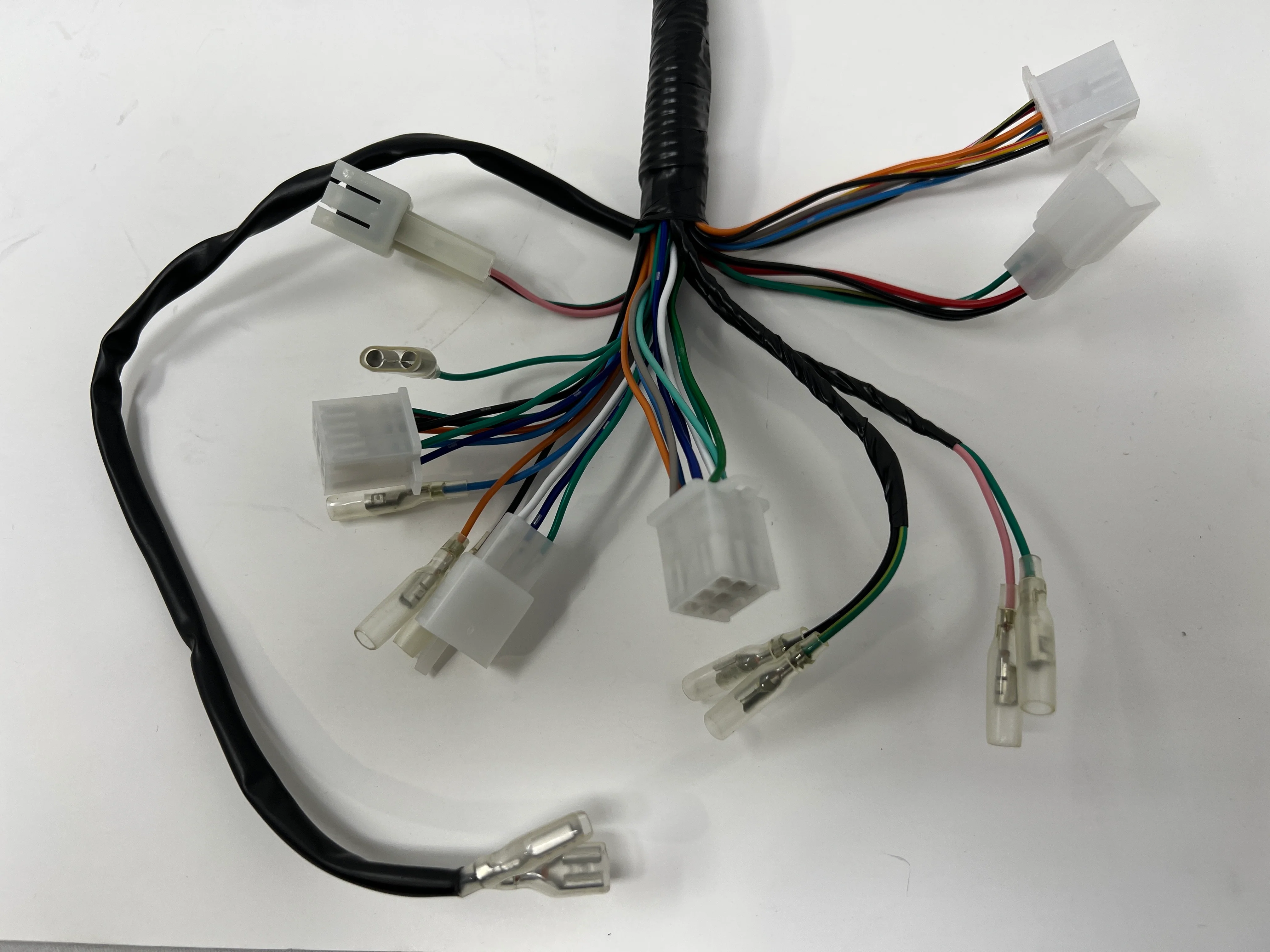 Sportster 250cc Chopper | Wiring Harness (08010137) - Image 3