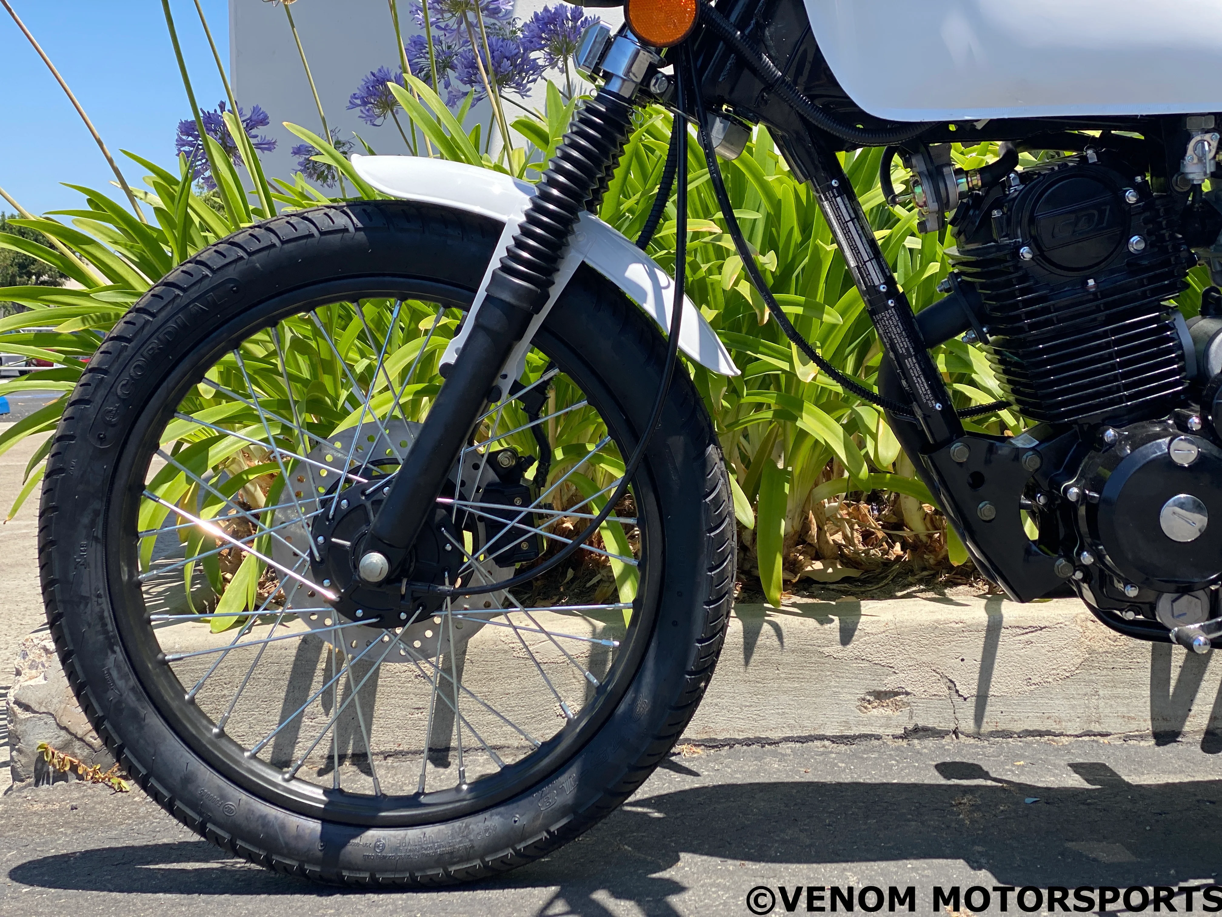 Venom Sportster | 250cc Chopper | 5 Speed - Image 5