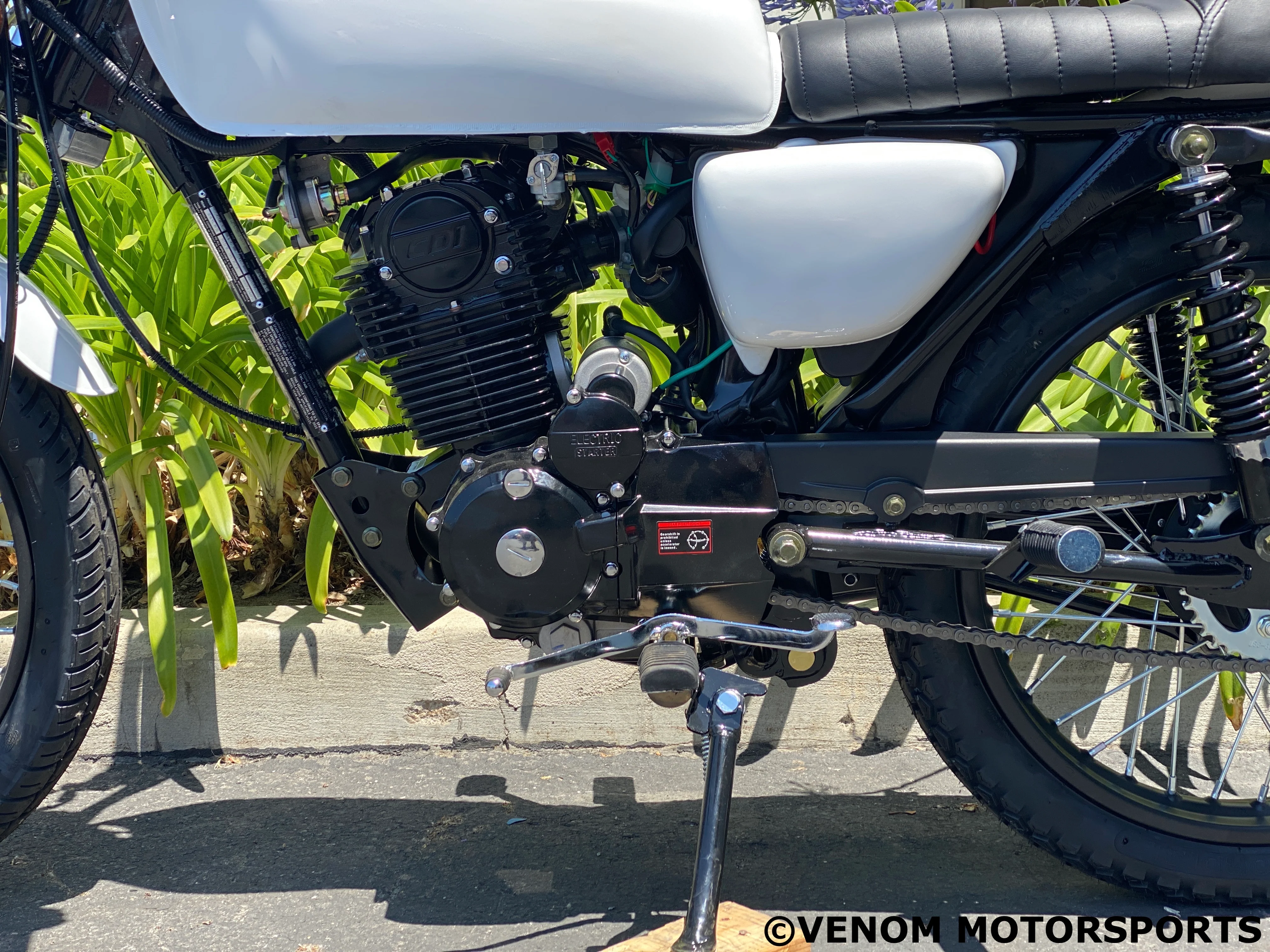 Venom Sportster | 250cc Chopper | 5 Speed - Image 6