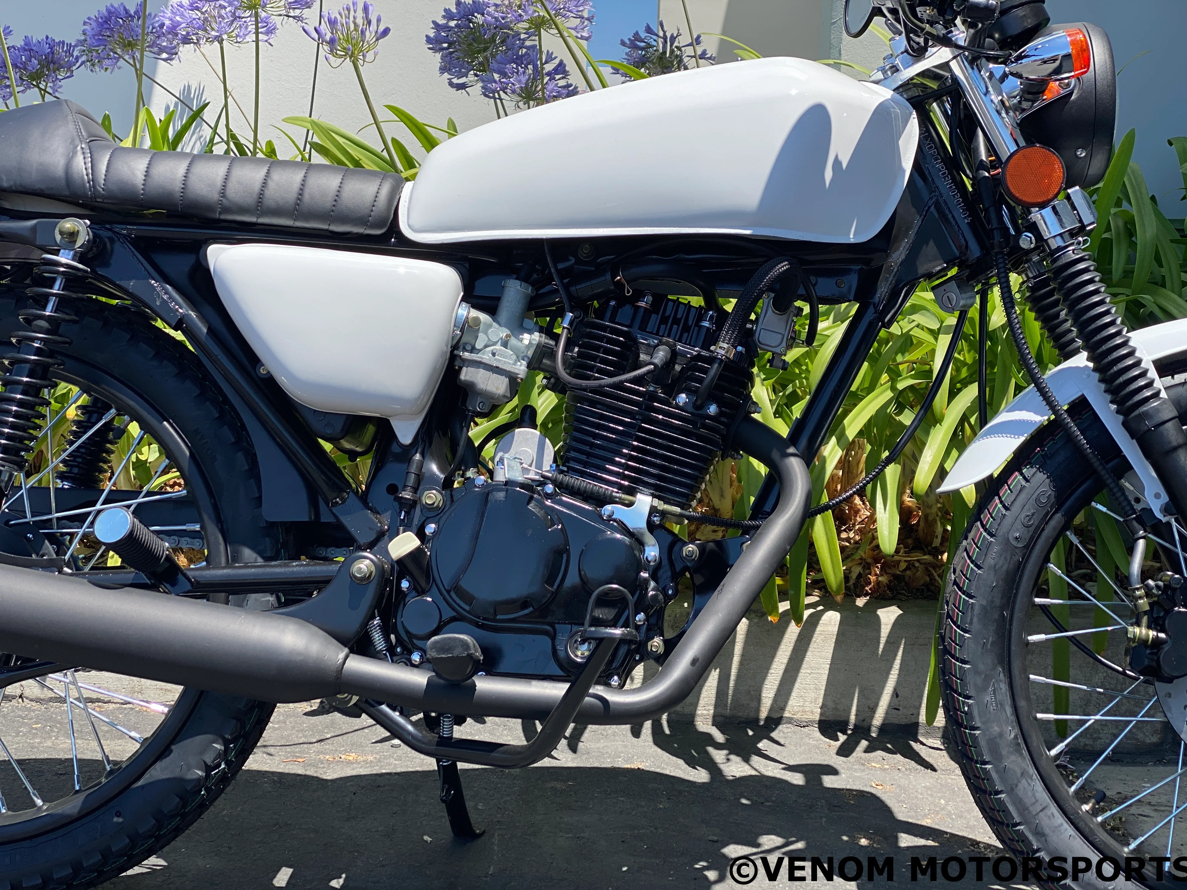 Venom Sportster | 250cc Chopper | 5 Speed - Image 11