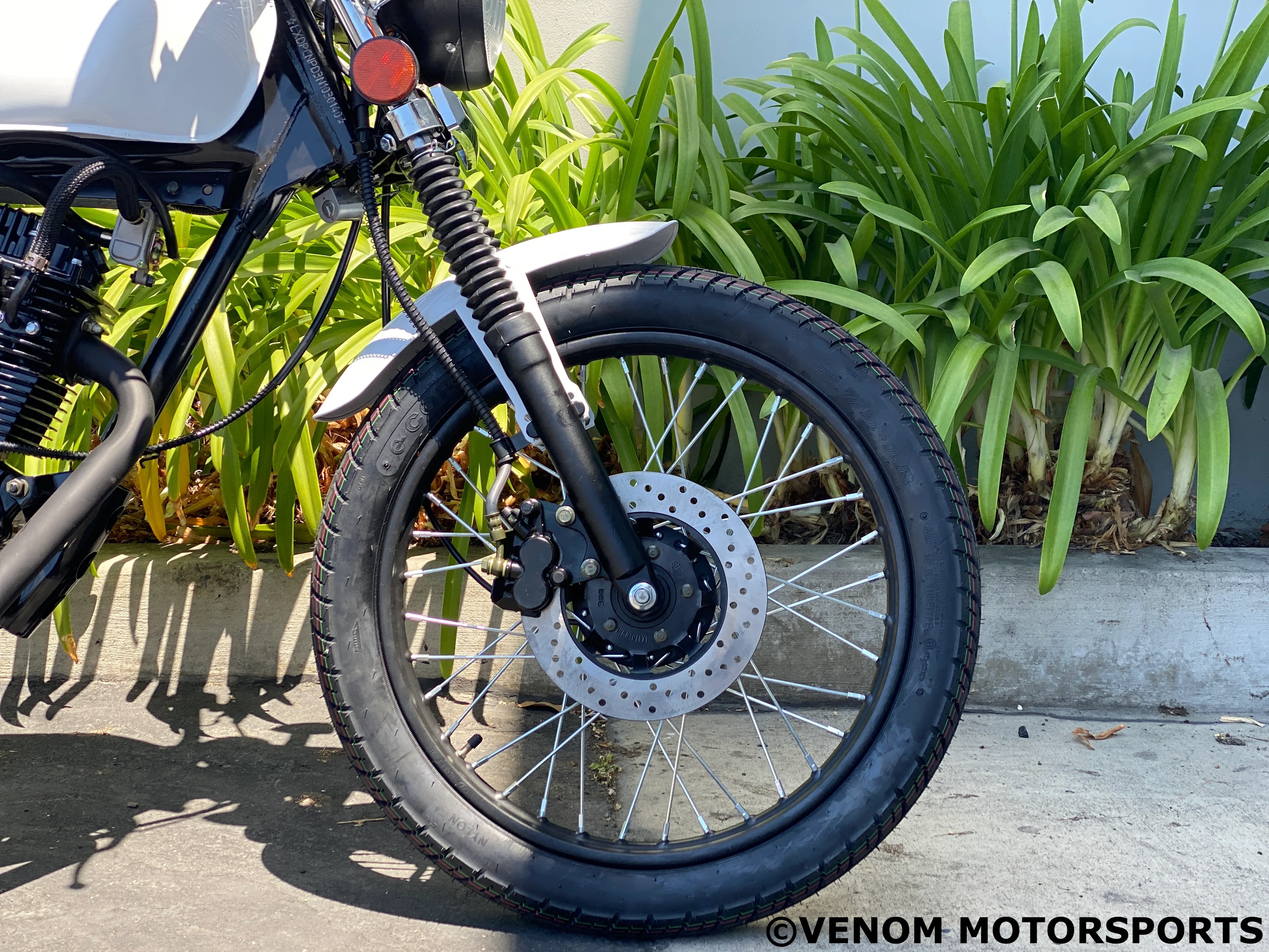 Venom Sportster | 250cc Chopper | 5 Speed - Image 12