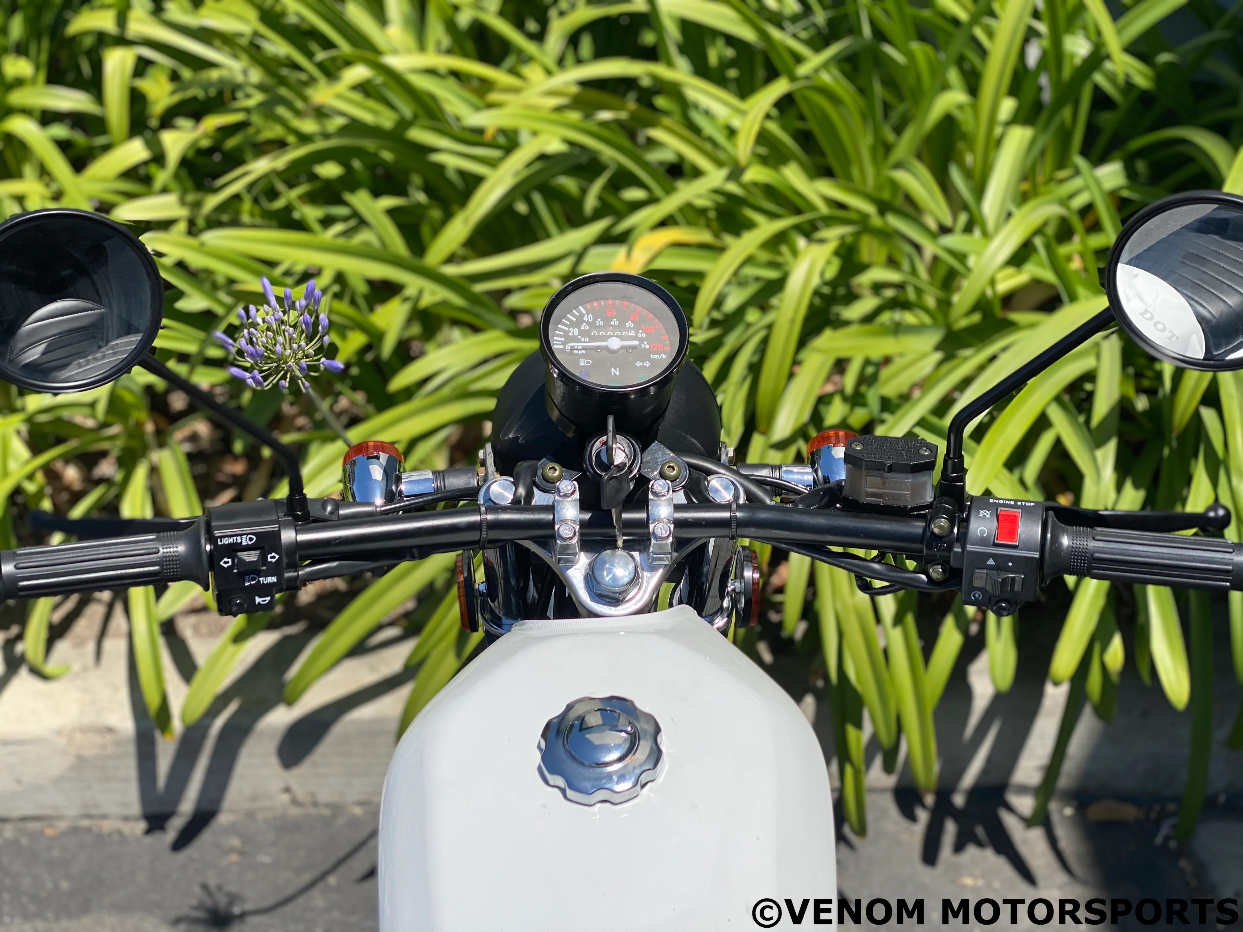 Venom Sportster | 250cc Chopper | 5 Speed - Image 9