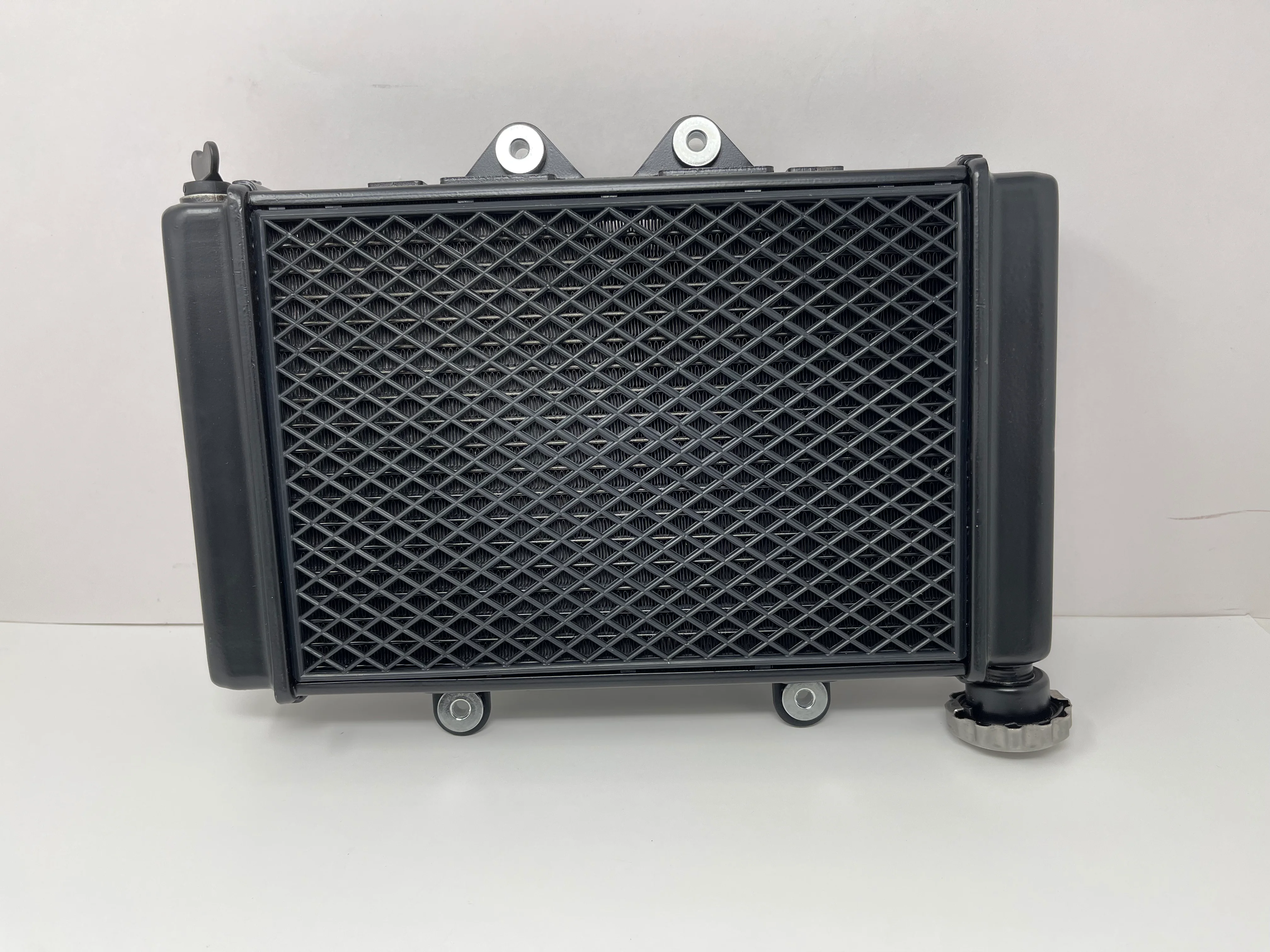 X22GT 250cc Automatic Motorcycle | Radiator w/ Fan (YY350-6E-2101009)